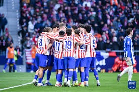 高宇杰投捕配合观察