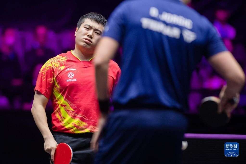 类似的本土 类似的本土