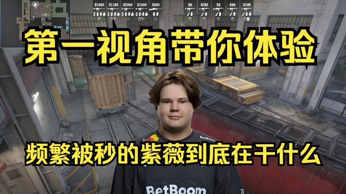 赞助生态